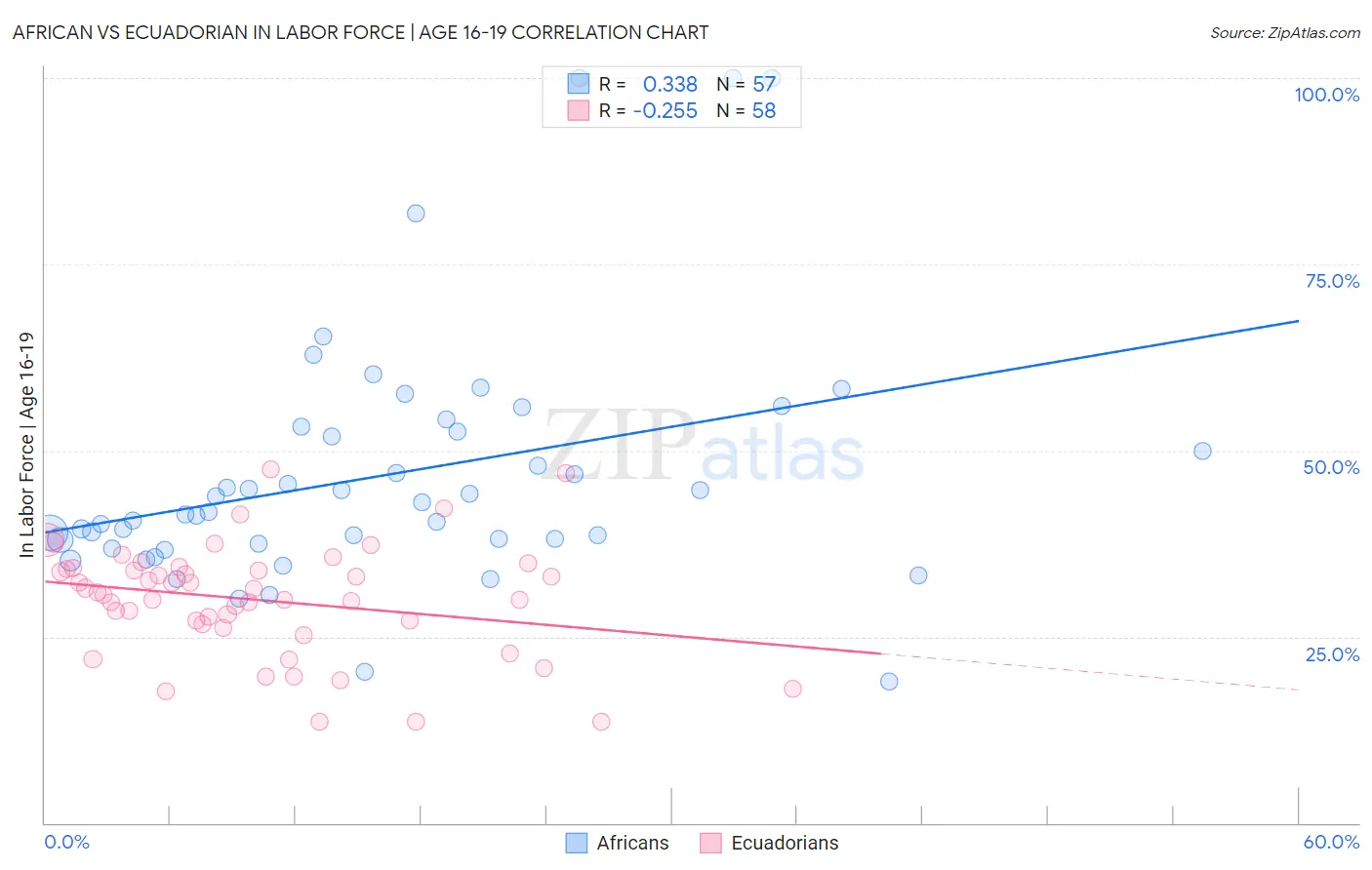 African vs Ecuadorian In Labor Force | Age 16-19