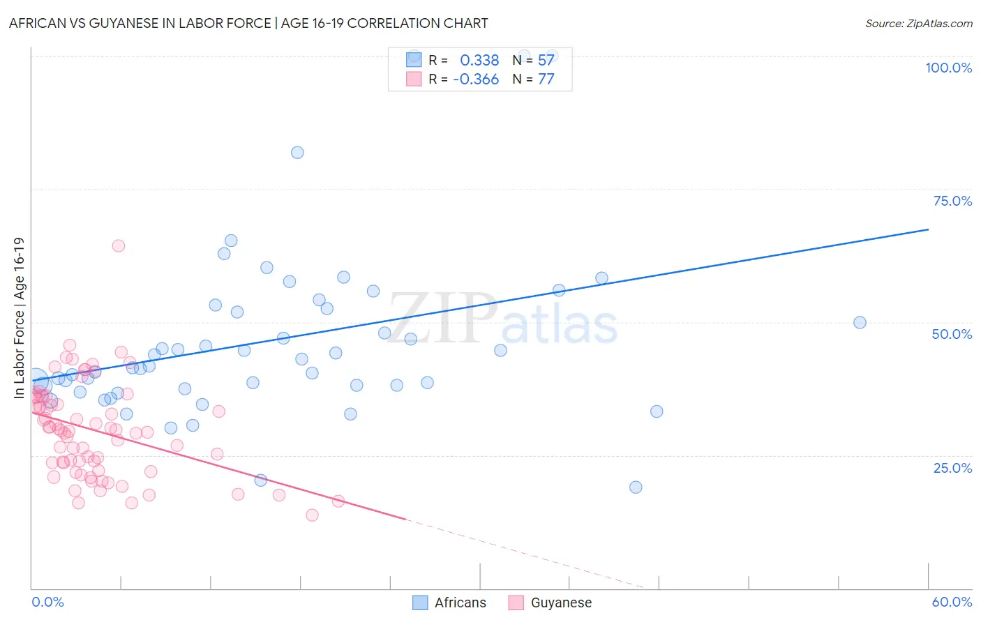 African vs Guyanese In Labor Force | Age 16-19