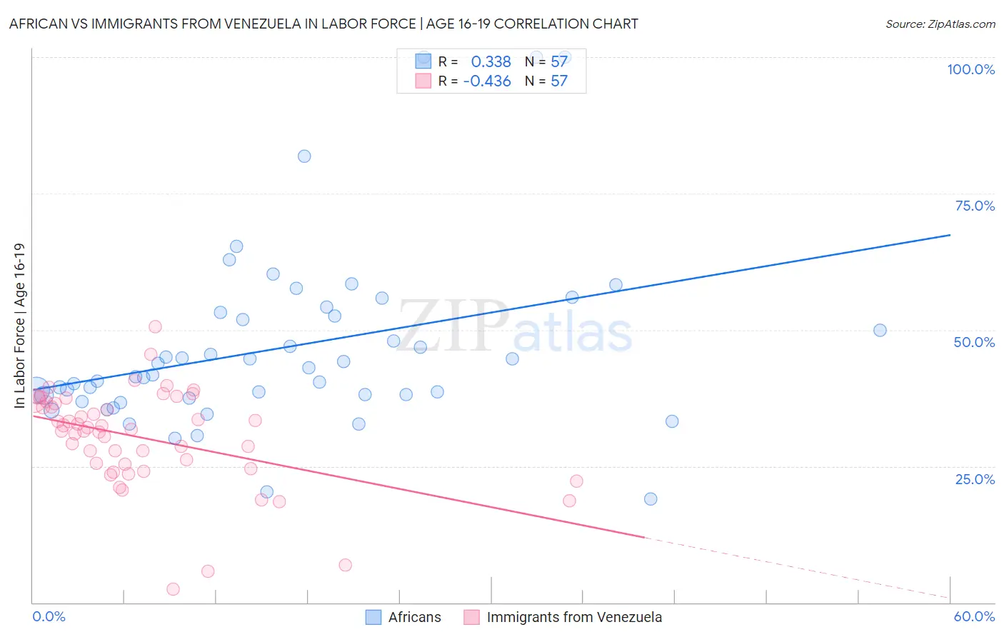 African vs Immigrants from Venezuela In Labor Force | Age 16-19