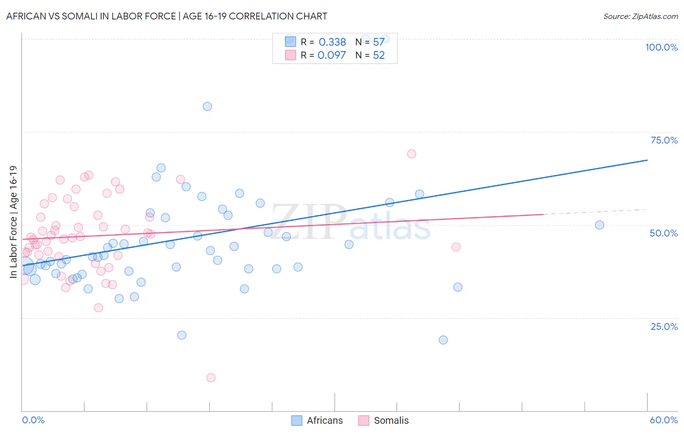 African vs Somali In Labor Force | Age 16-19