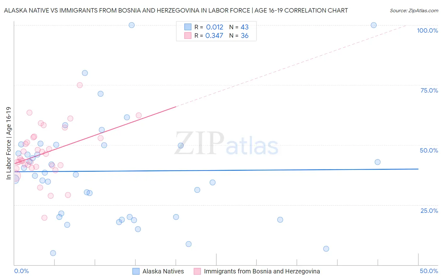 Alaska Native vs Immigrants from Bosnia and Herzegovina In Labor Force | Age 16-19