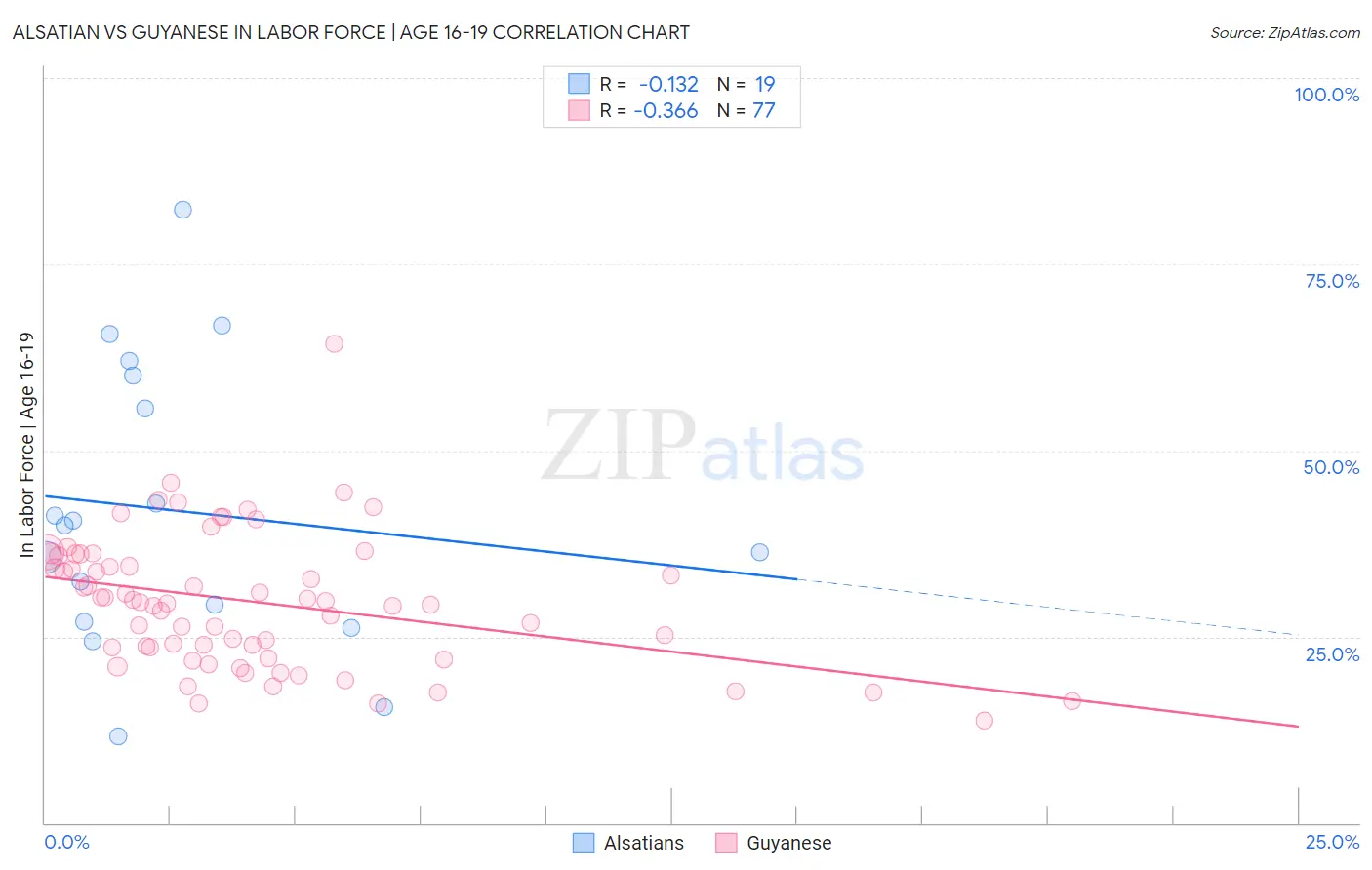 Alsatian vs Guyanese In Labor Force | Age 16-19