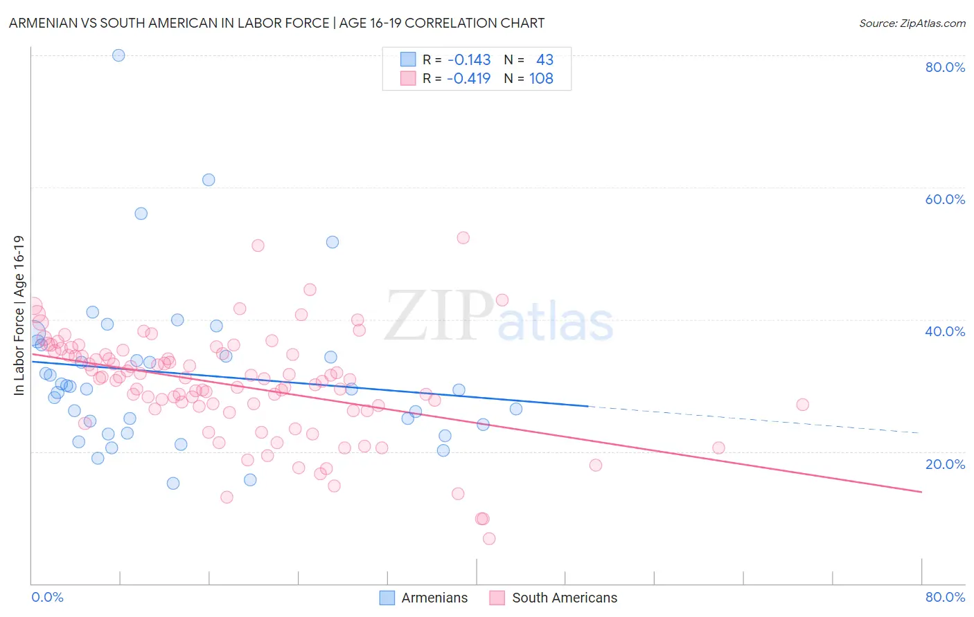 Armenian vs South American In Labor Force | Age 16-19