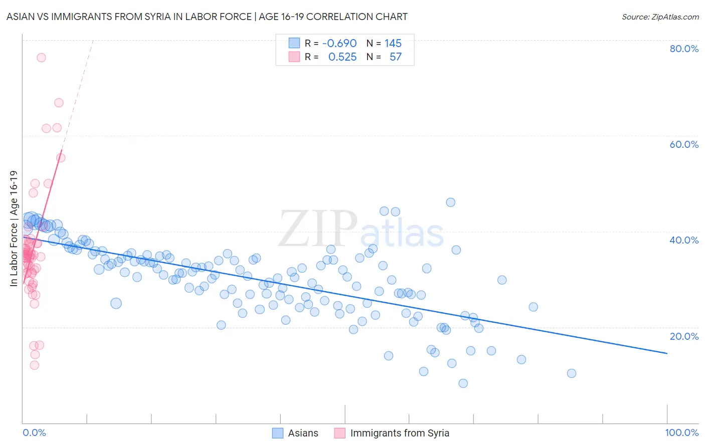 Asian vs Immigrants from Syria In Labor Force | Age 16-19