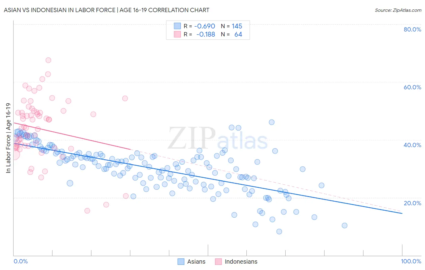 Asian vs Indonesian In Labor Force | Age 16-19