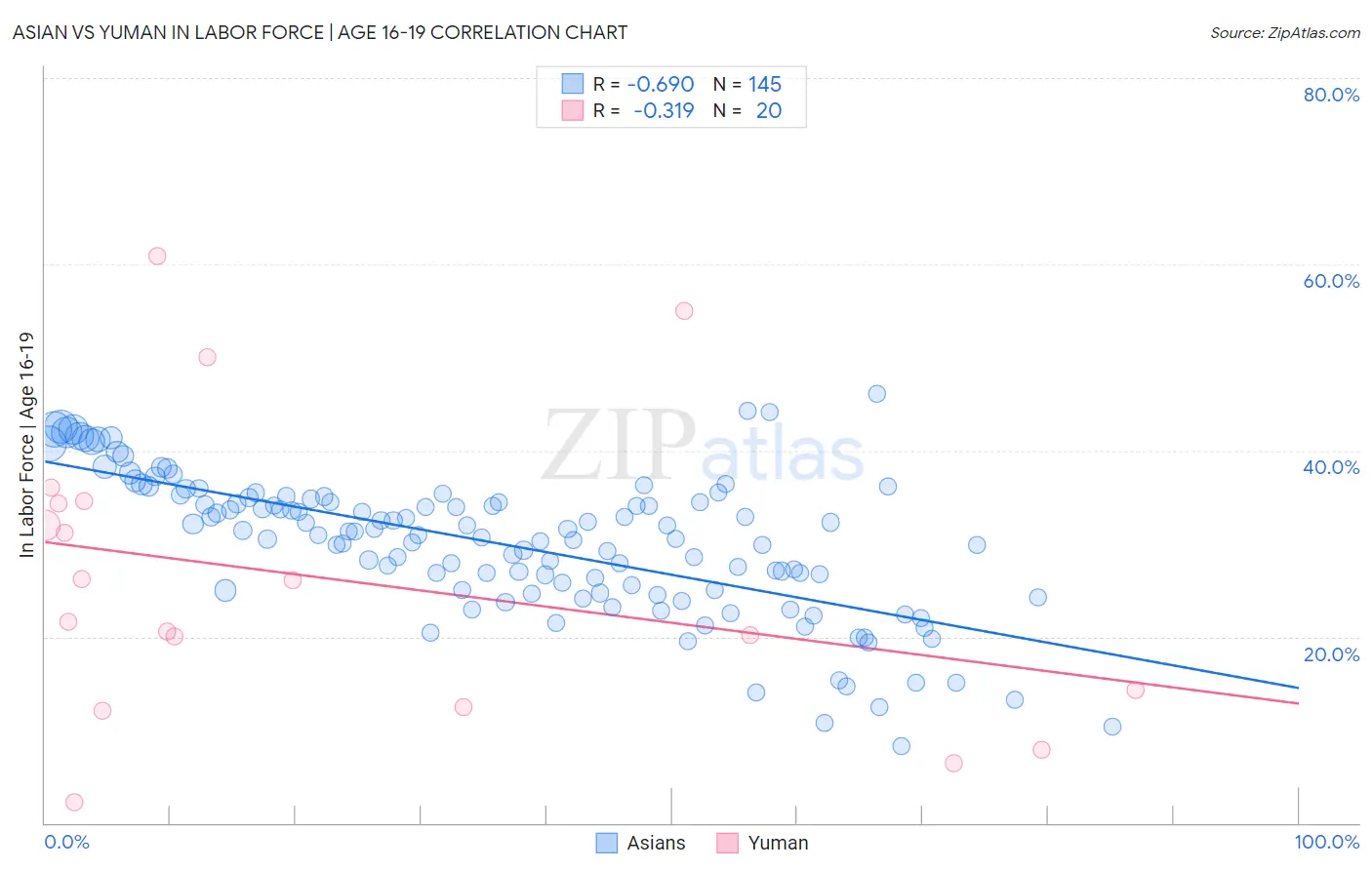 Asian vs Yuman In Labor Force | Age 16-19