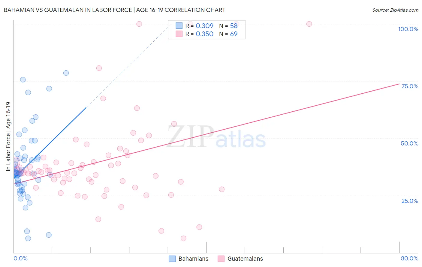 Bahamian vs Guatemalan In Labor Force | Age 16-19