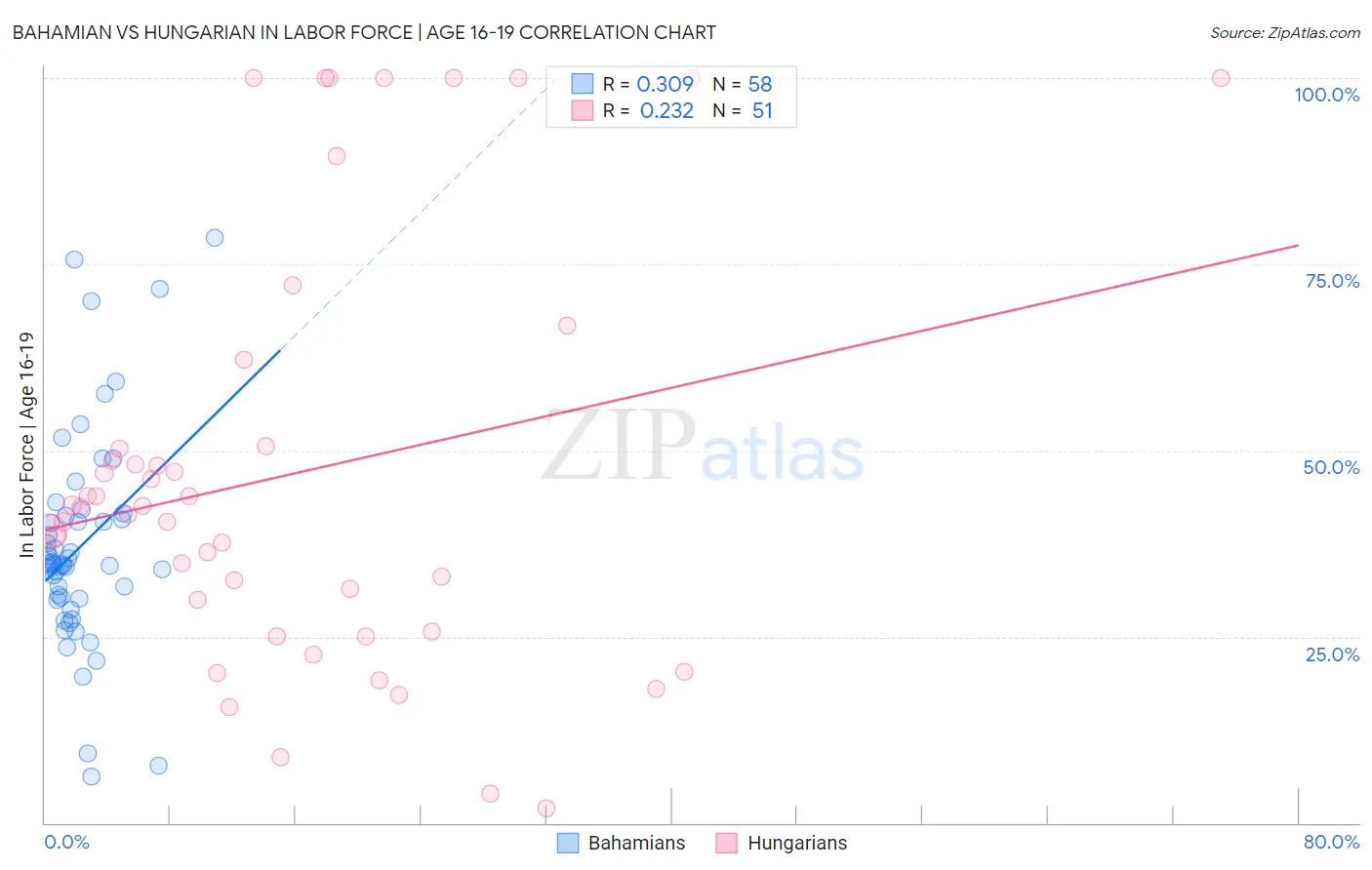 Bahamian vs Hungarian In Labor Force | Age 16-19