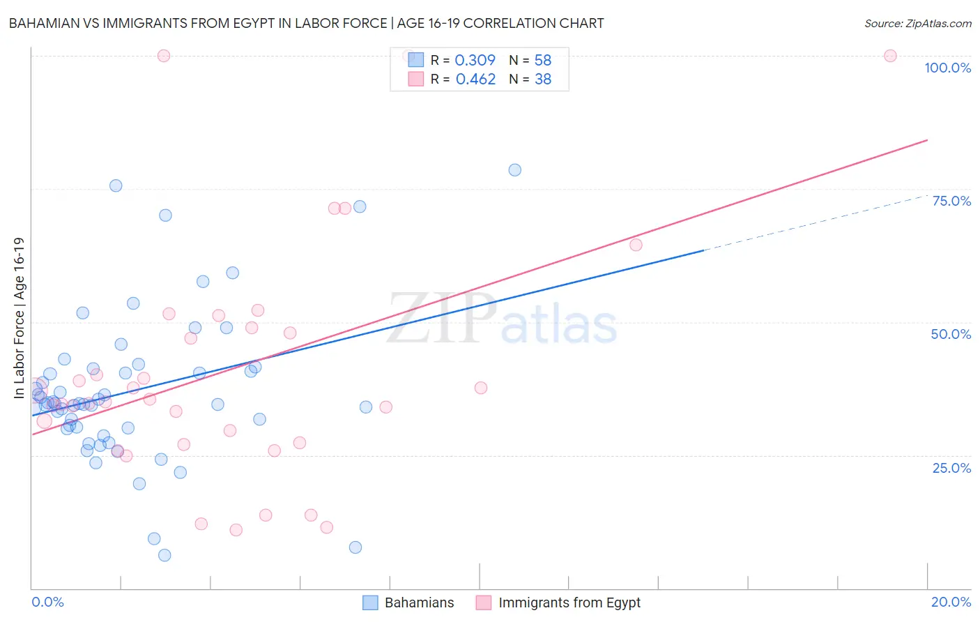 Bahamian vs Immigrants from Egypt In Labor Force | Age 16-19