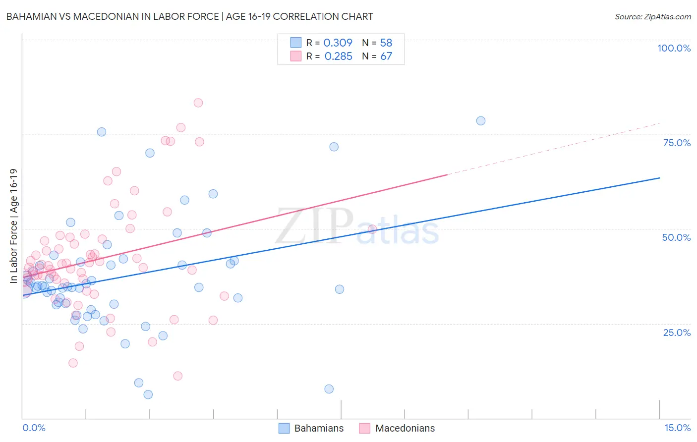 Bahamian vs Macedonian In Labor Force | Age 16-19