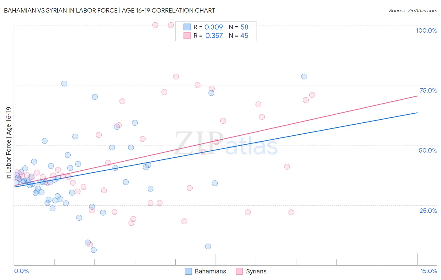 Bahamian vs Syrian In Labor Force | Age 16-19