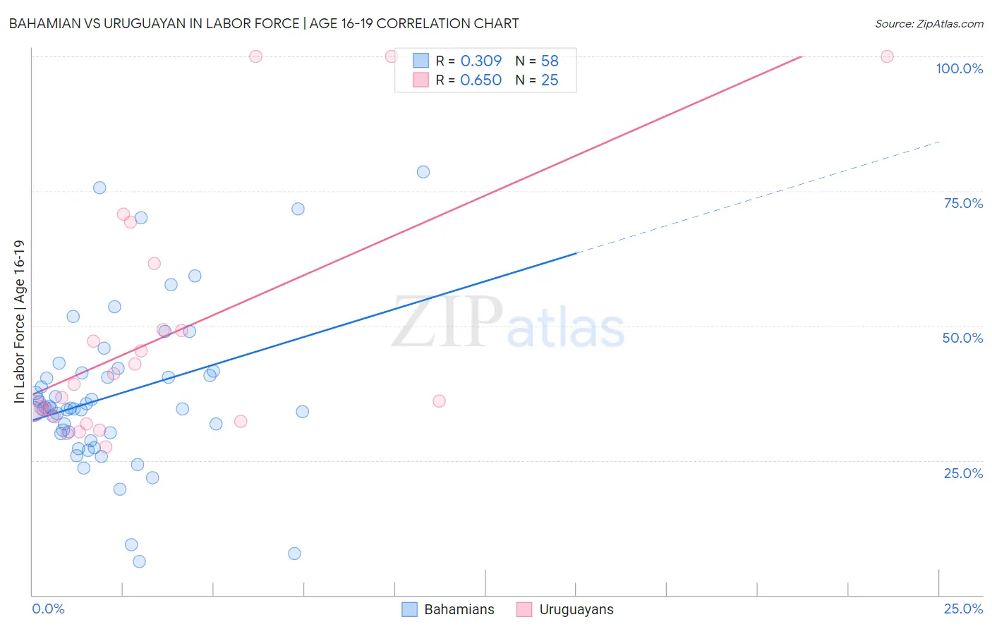 Bahamian vs Uruguayan In Labor Force | Age 16-19