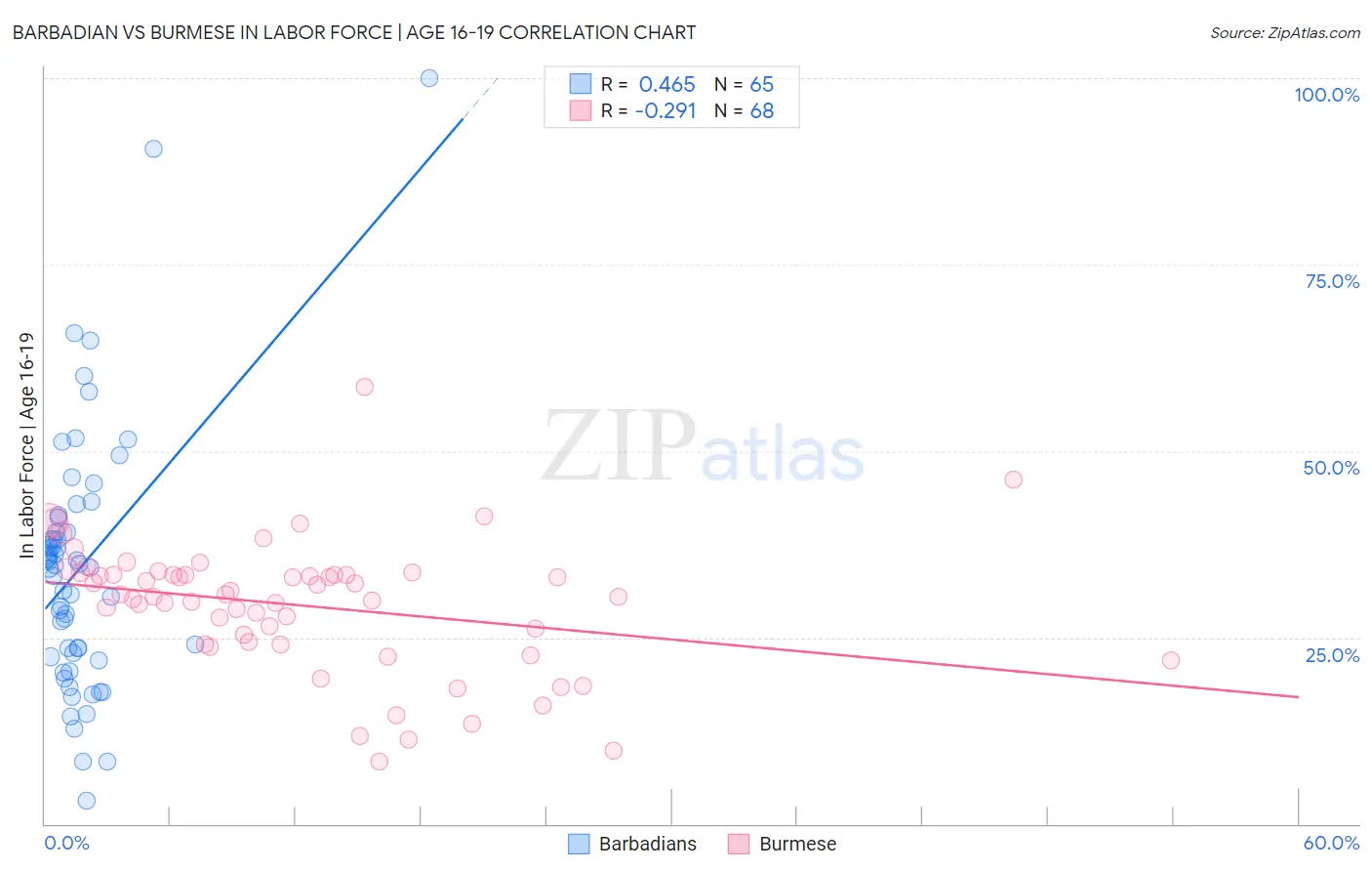 Barbadian vs Burmese In Labor Force | Age 16-19