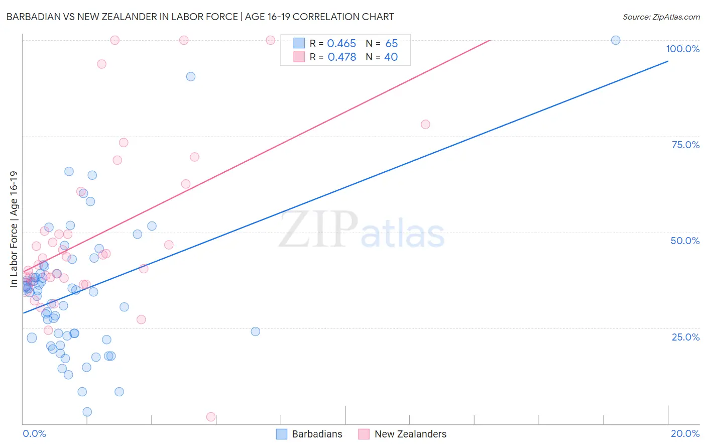 Barbadian vs New Zealander In Labor Force | Age 16-19