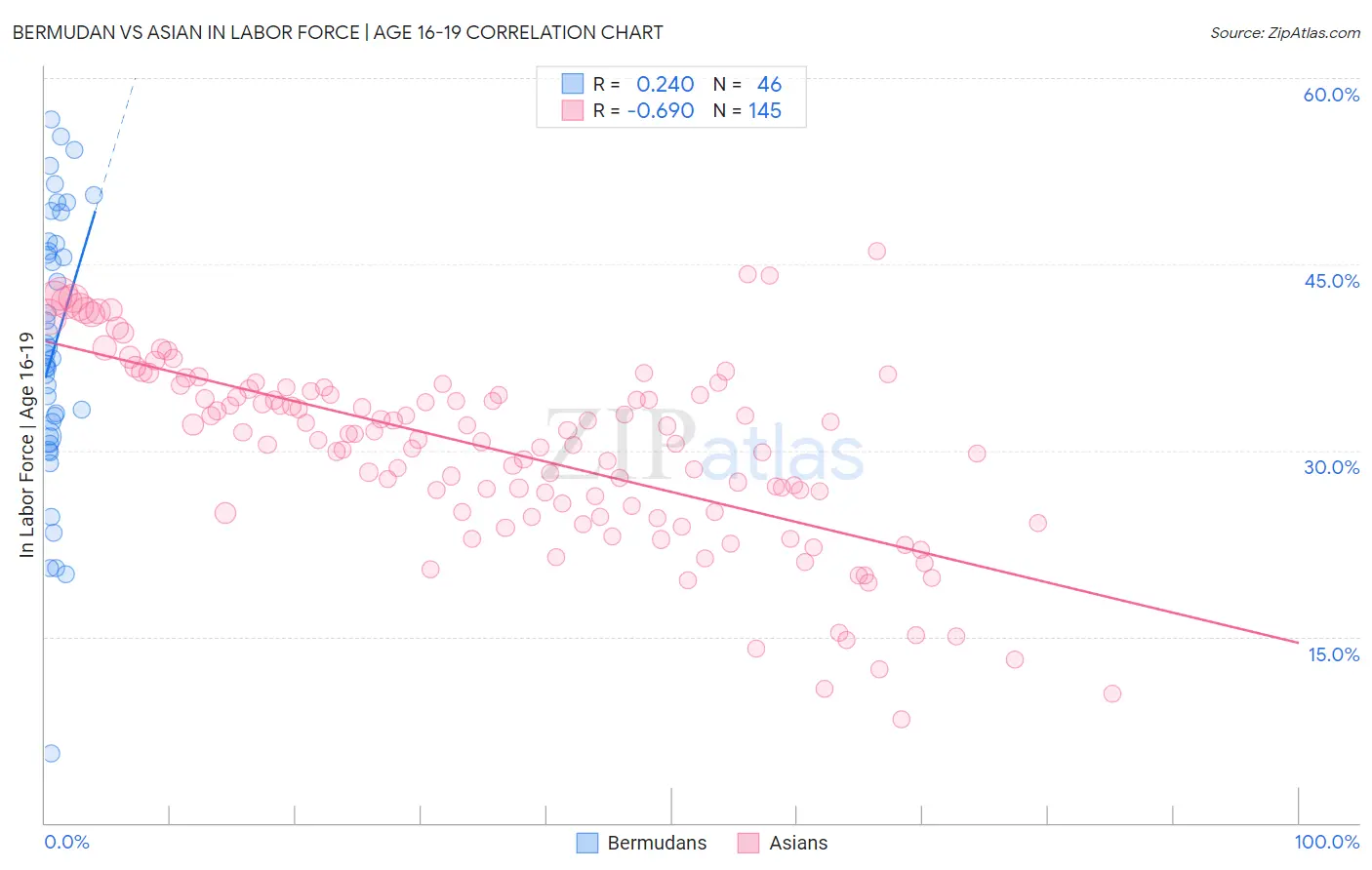 Bermudan vs Asian In Labor Force | Age 16-19