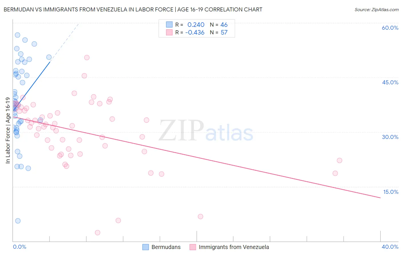 Bermudan vs Immigrants from Venezuela In Labor Force | Age 16-19