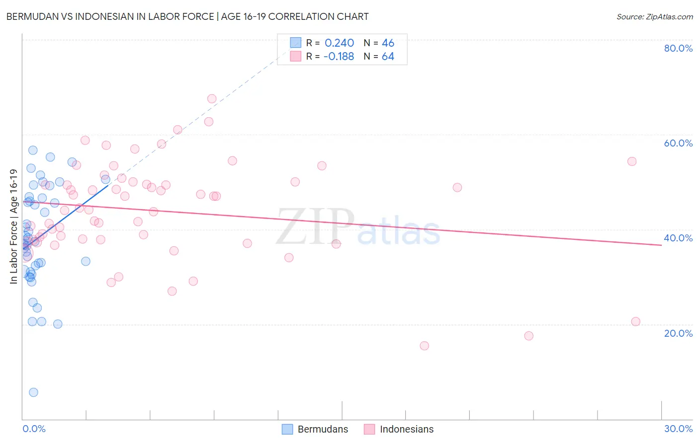 Bermudan vs Indonesian In Labor Force | Age 16-19