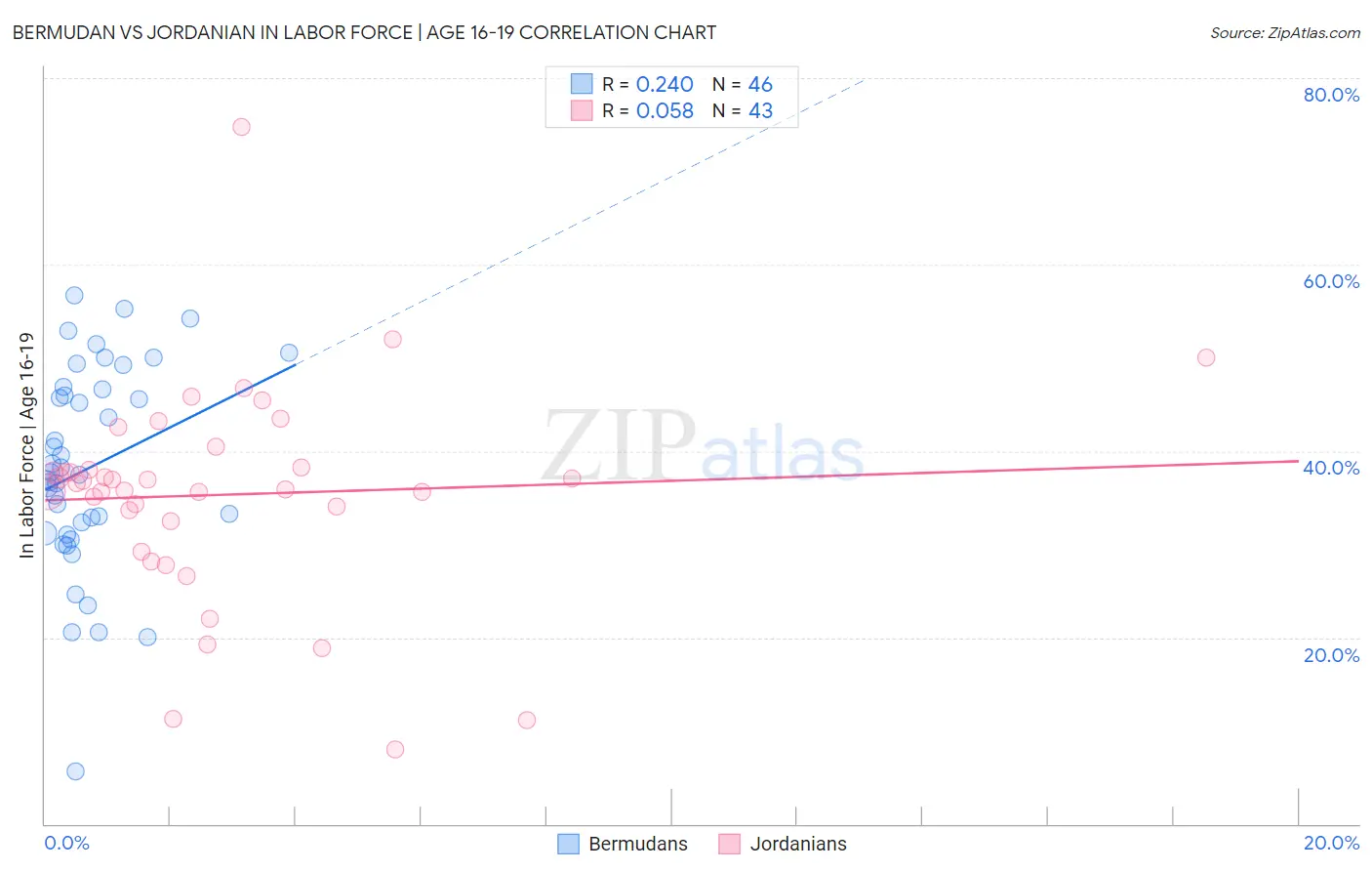Bermudan vs Jordanian In Labor Force | Age 16-19