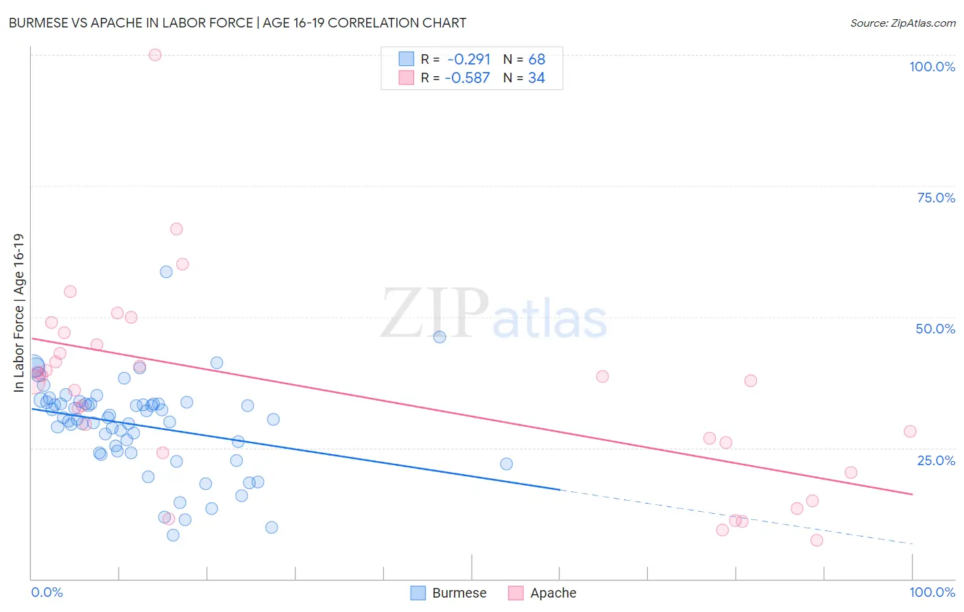 Burmese vs Apache In Labor Force | Age 16-19