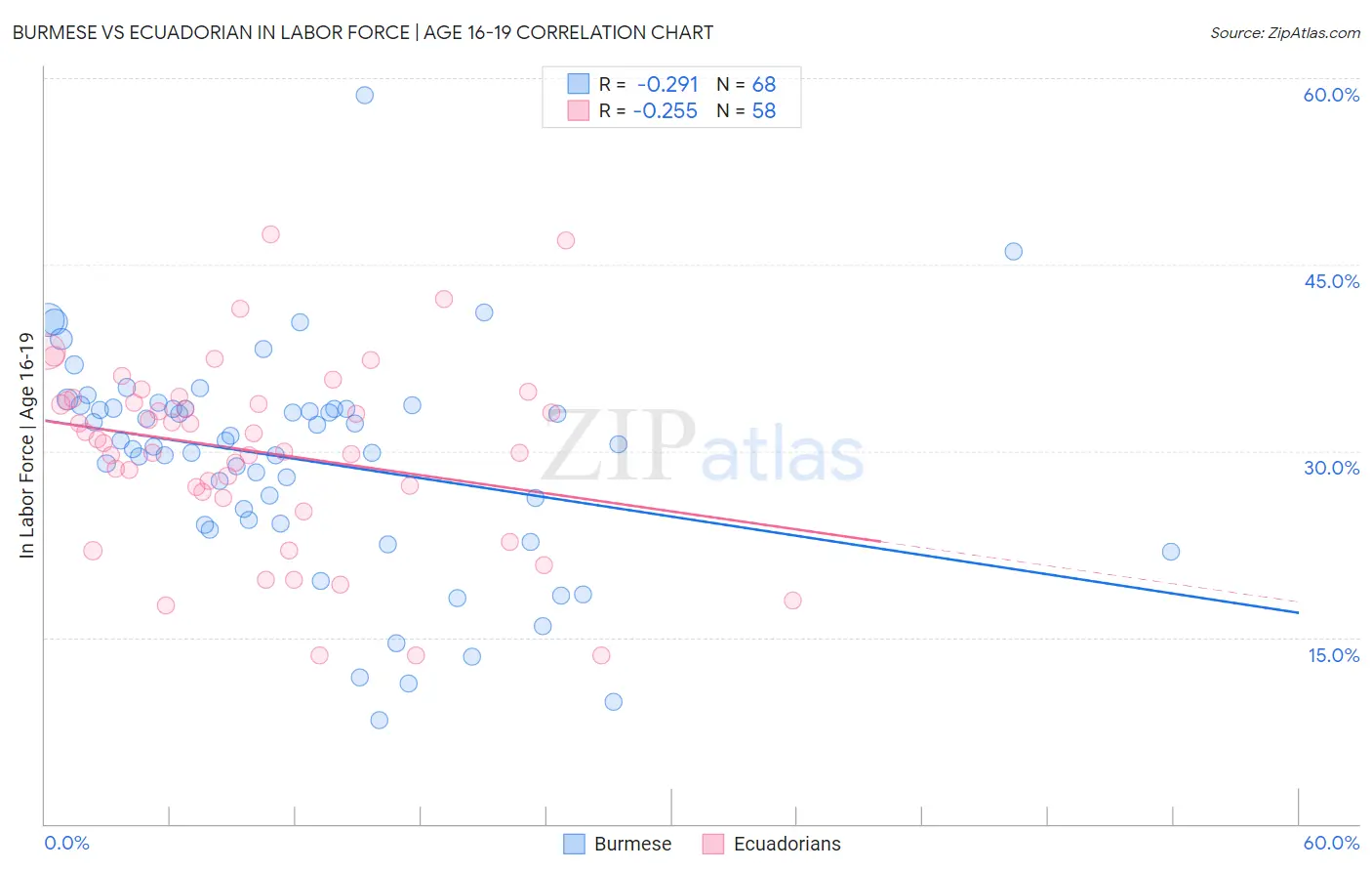 Burmese vs Ecuadorian In Labor Force | Age 16-19