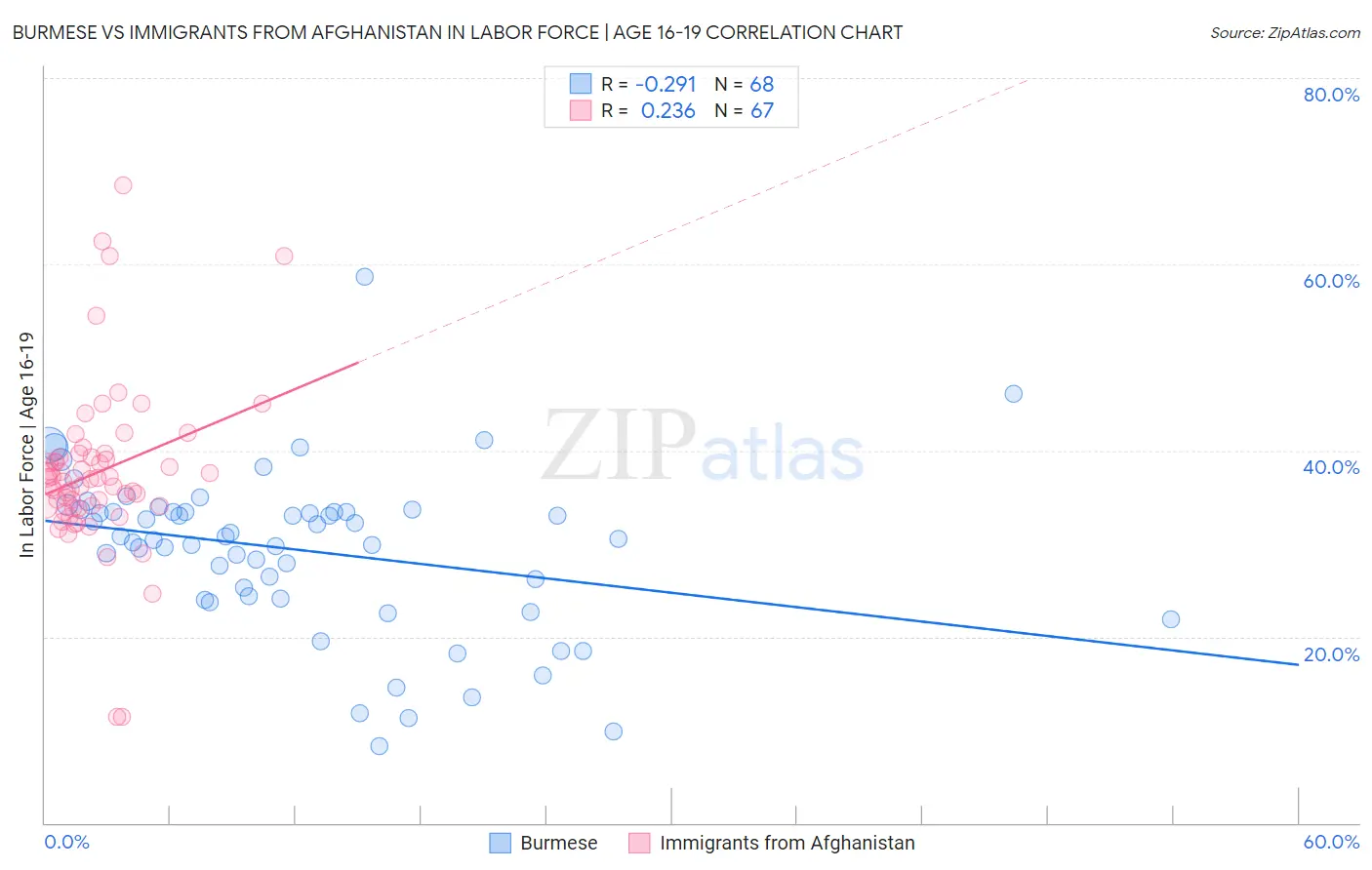 Burmese vs Immigrants from Afghanistan In Labor Force | Age 16-19