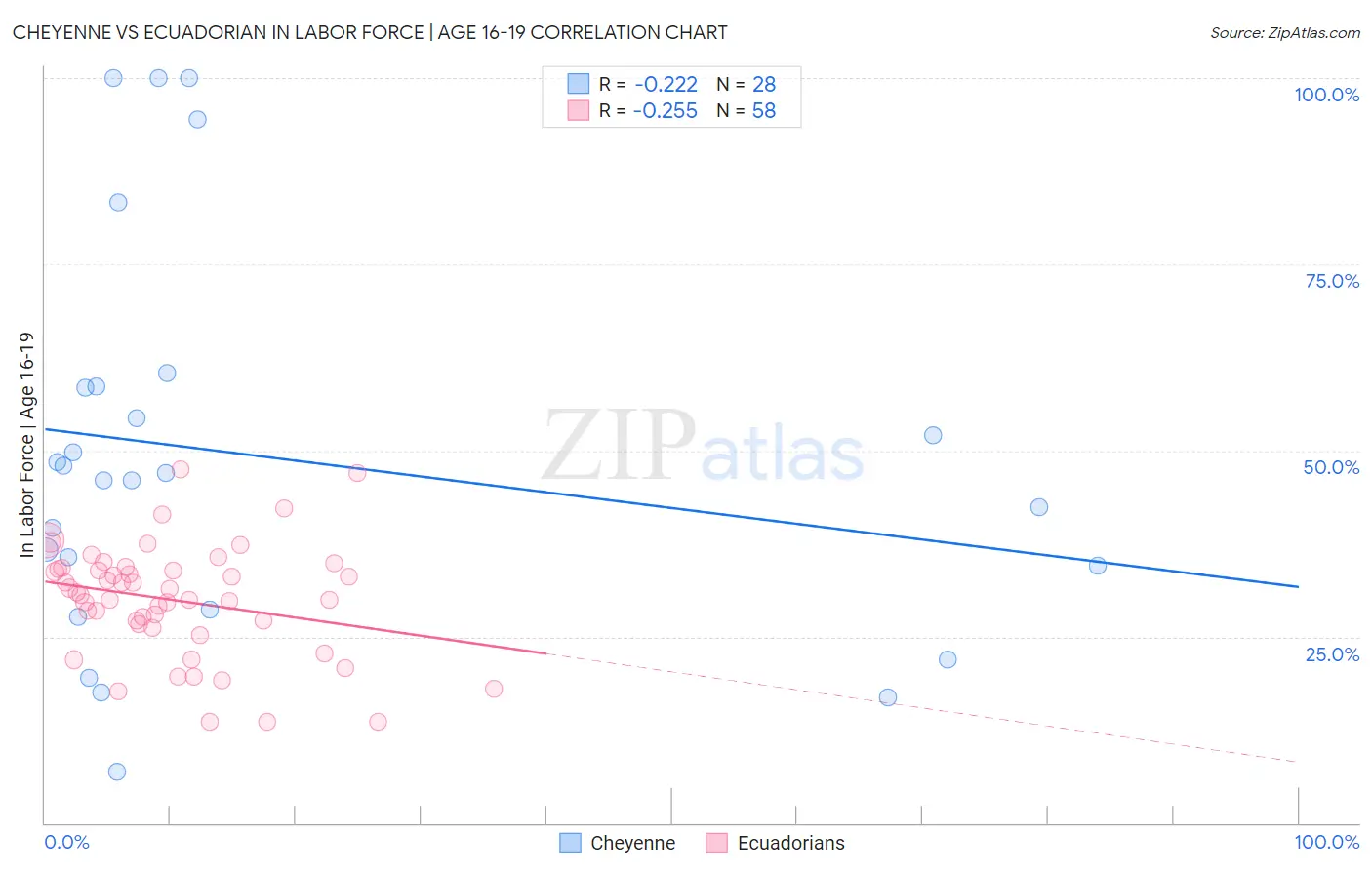 Cheyenne vs Ecuadorian In Labor Force | Age 16-19