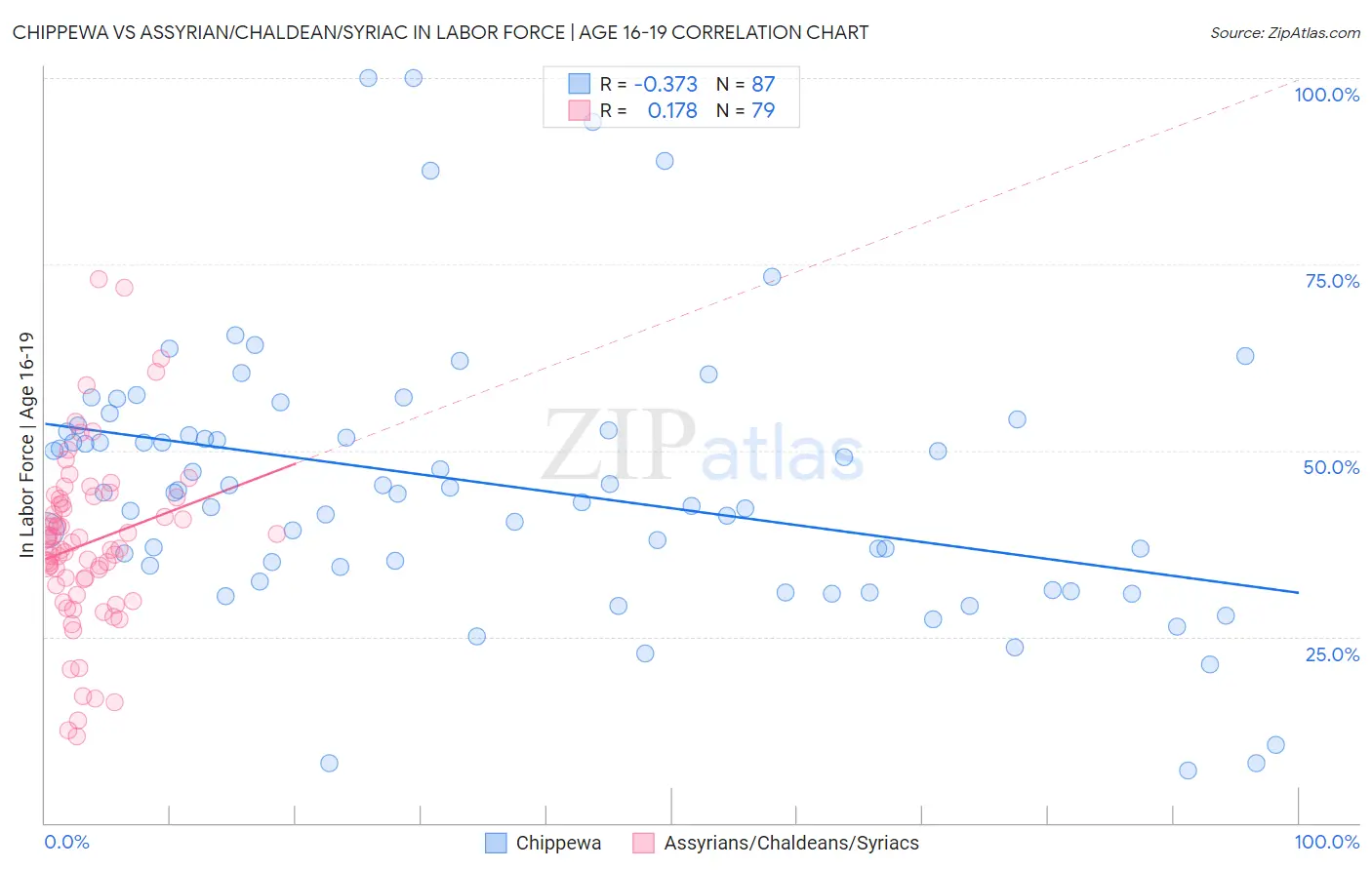 Chippewa vs Assyrian/Chaldean/Syriac In Labor Force | Age 16-19