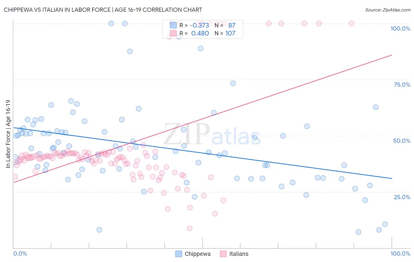 Chippewa vs Italian In Labor Force | Age 16-19