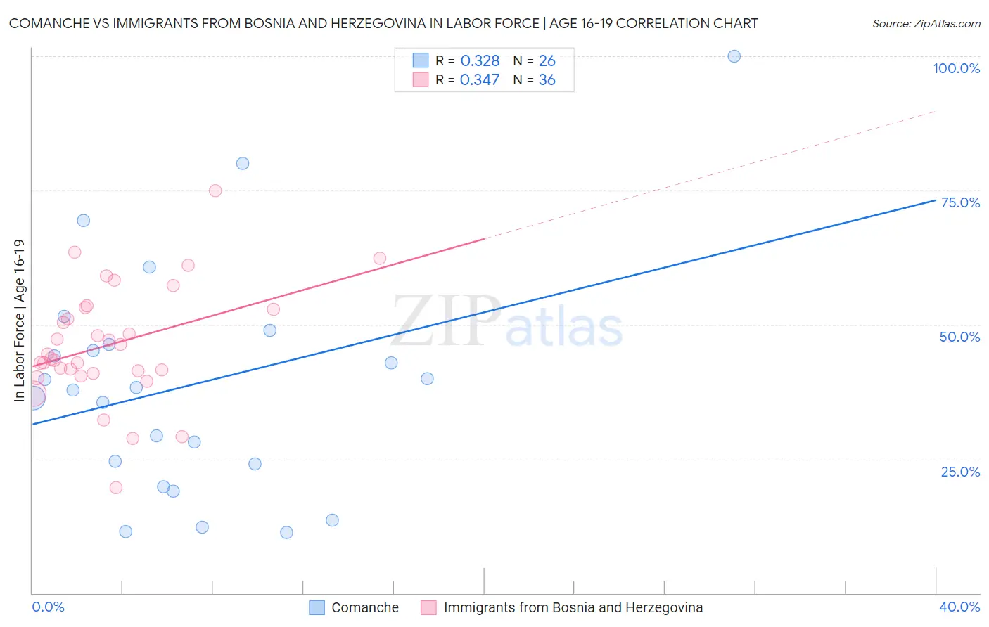 Comanche vs Immigrants from Bosnia and Herzegovina In Labor Force | Age 16-19
