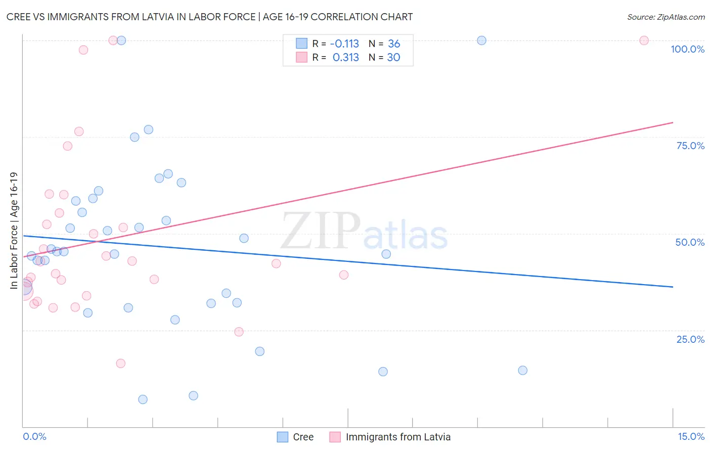 Cree vs Immigrants from Latvia In Labor Force | Age 16-19