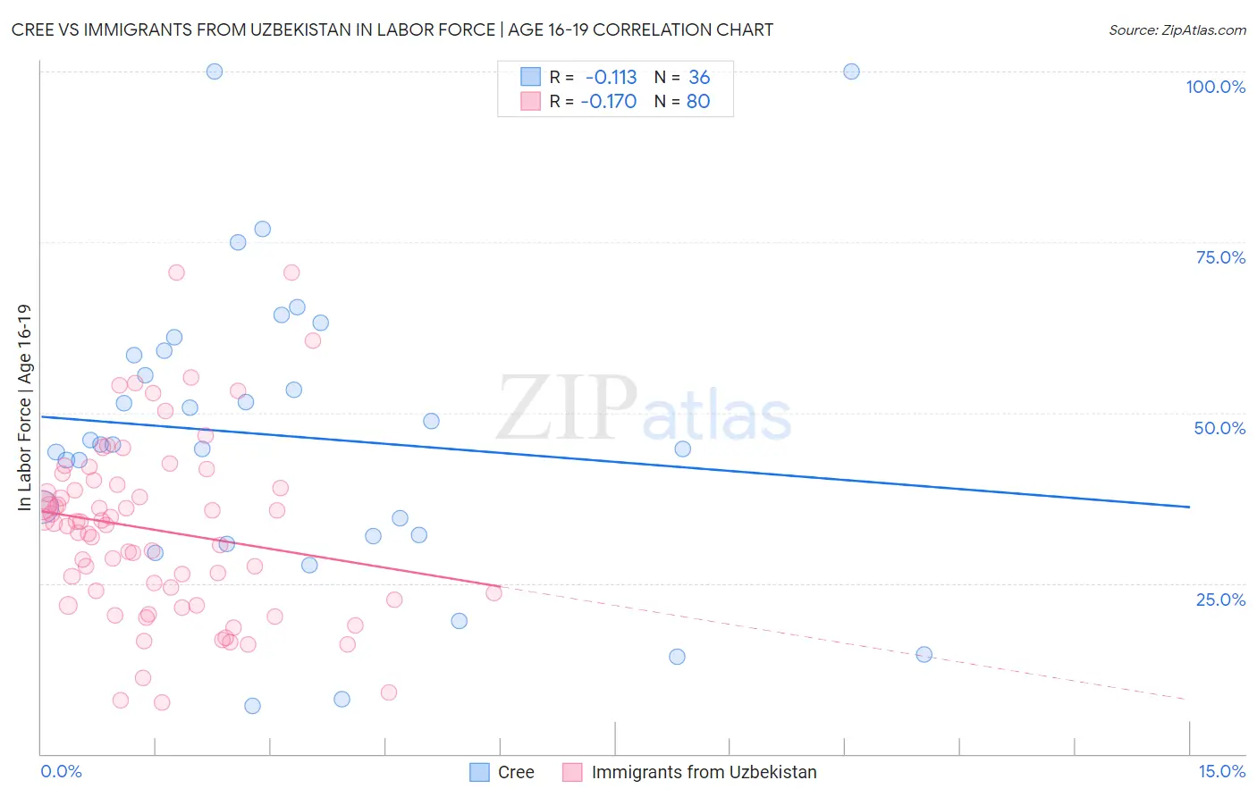 Cree vs Immigrants from Uzbekistan In Labor Force | Age 16-19