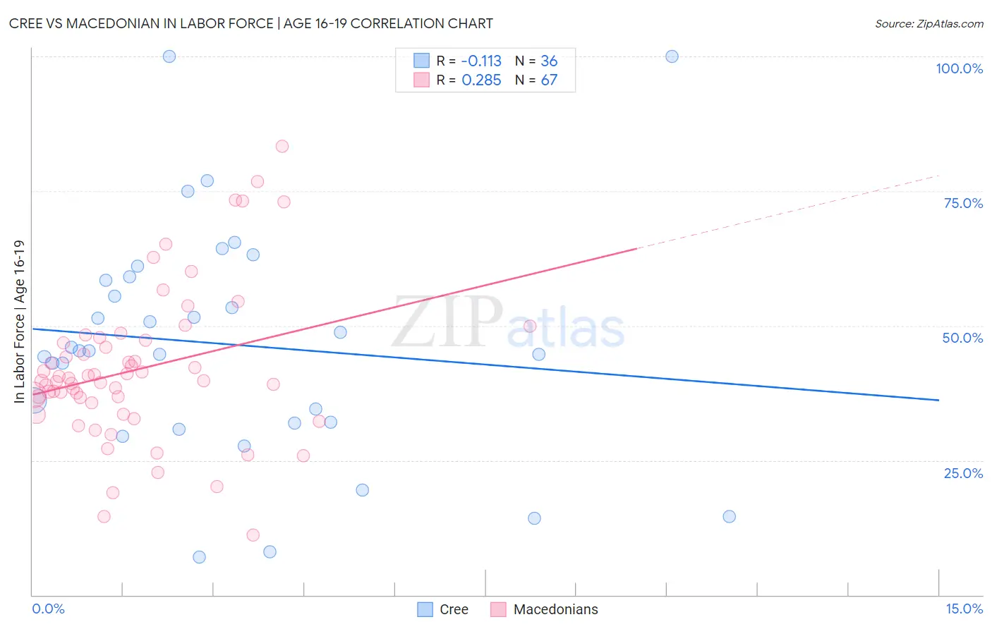 Cree vs Macedonian In Labor Force | Age 16-19