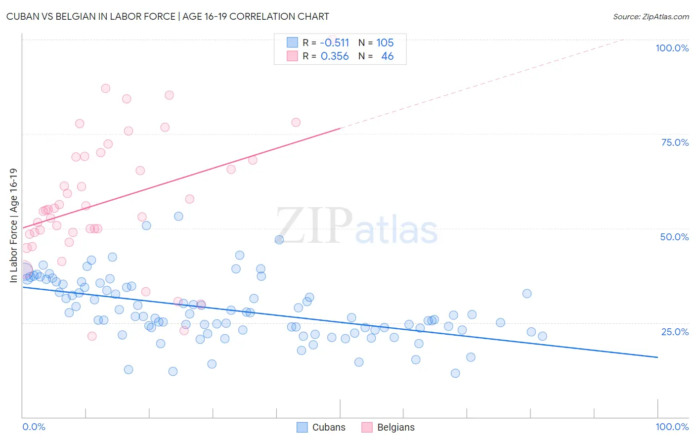 Cuban vs Belgian In Labor Force | Age 16-19