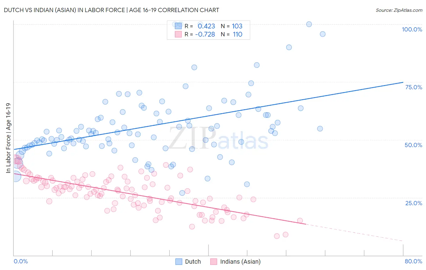 Dutch vs Indian (Asian) In Labor Force | Age 16-19