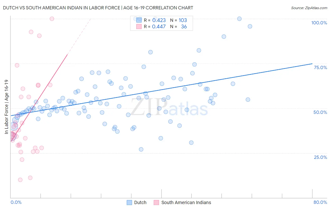 Dutch vs South American Indian In Labor Force | Age 16-19