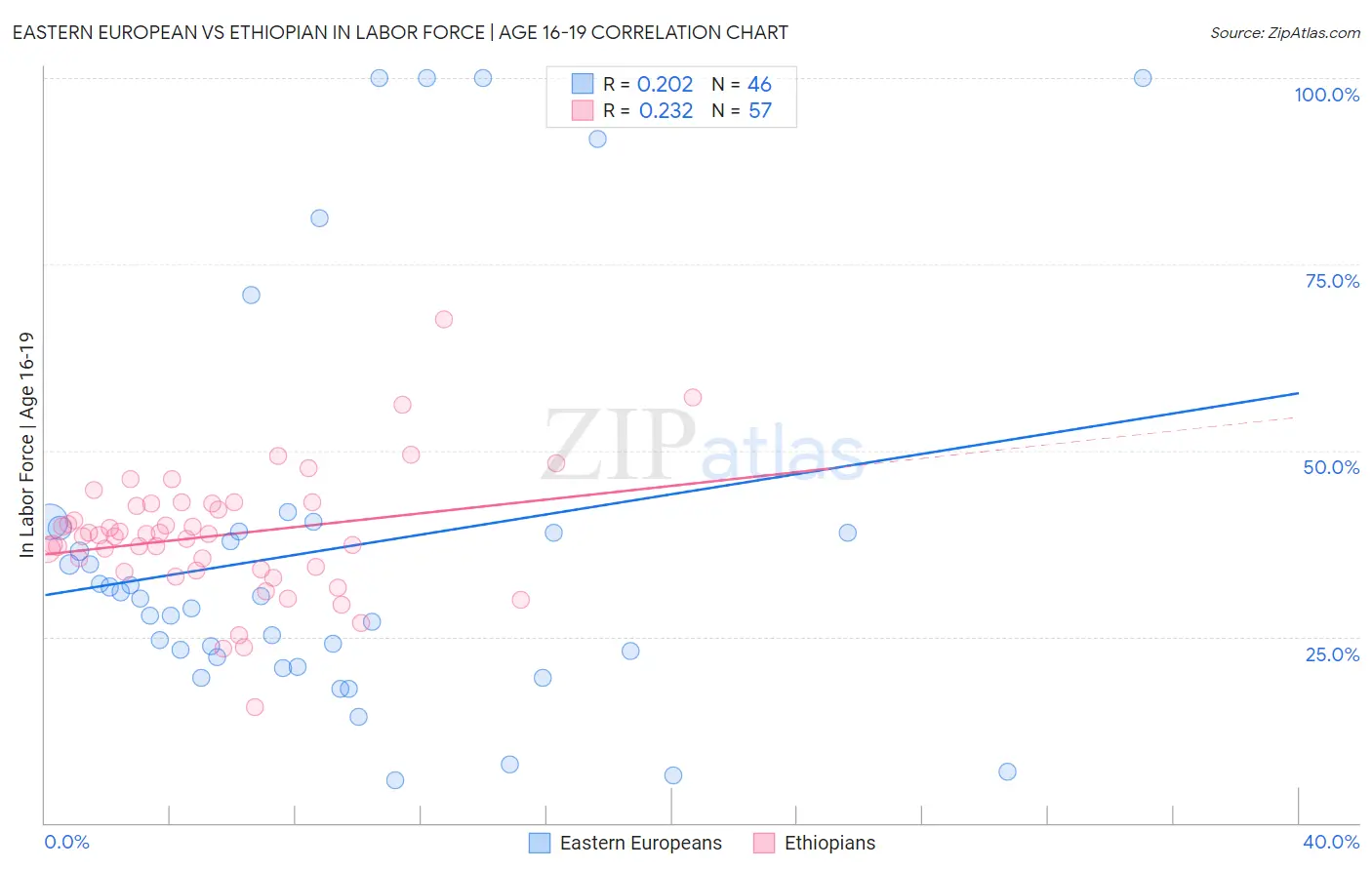 Eastern European vs Ethiopian In Labor Force | Age 16-19