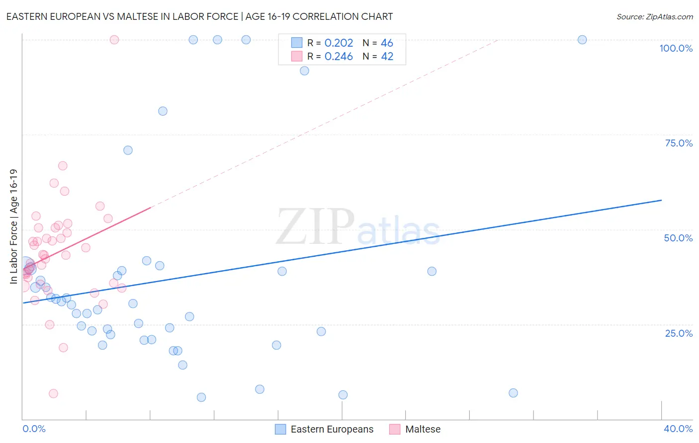 Eastern European vs Maltese In Labor Force | Age 16-19