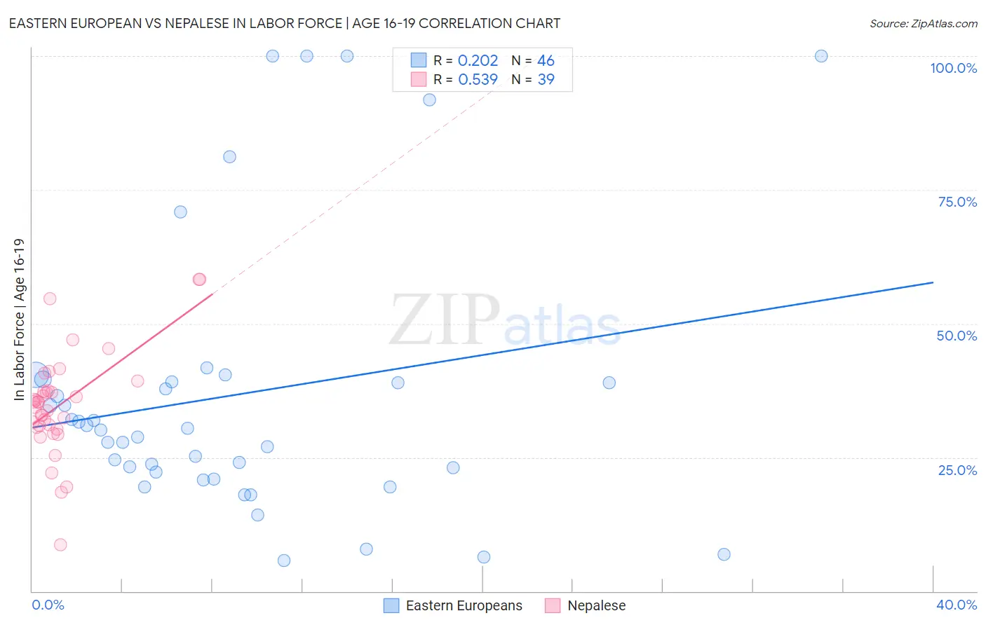 Eastern European vs Nepalese In Labor Force | Age 16-19