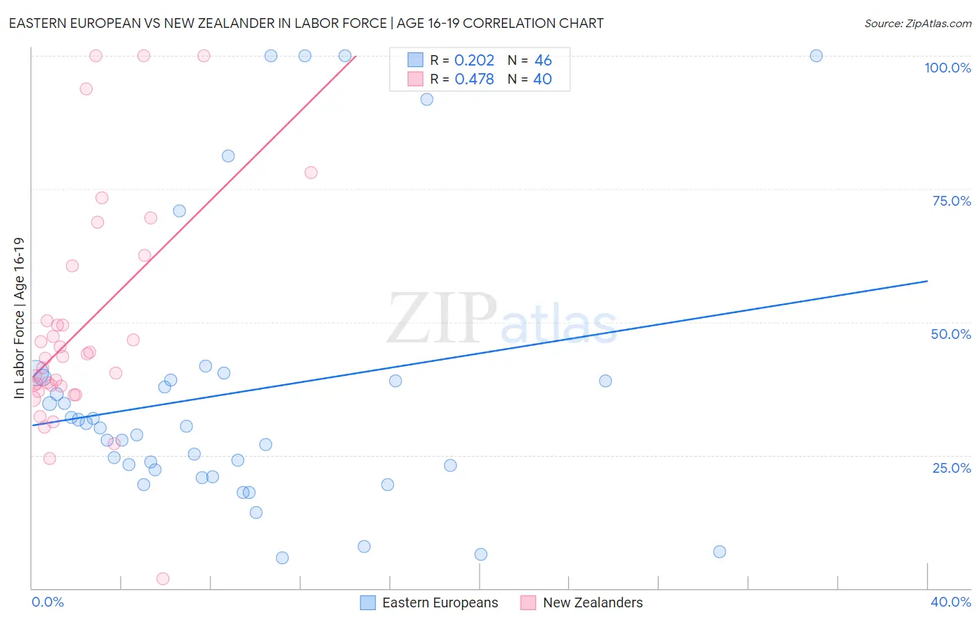 Eastern European vs New Zealander In Labor Force | Age 16-19