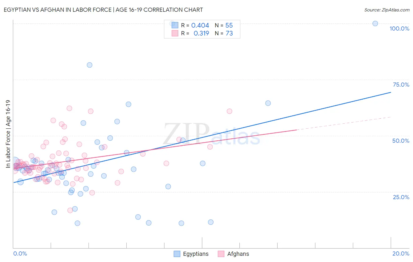 Egyptian vs Afghan In Labor Force | Age 16-19