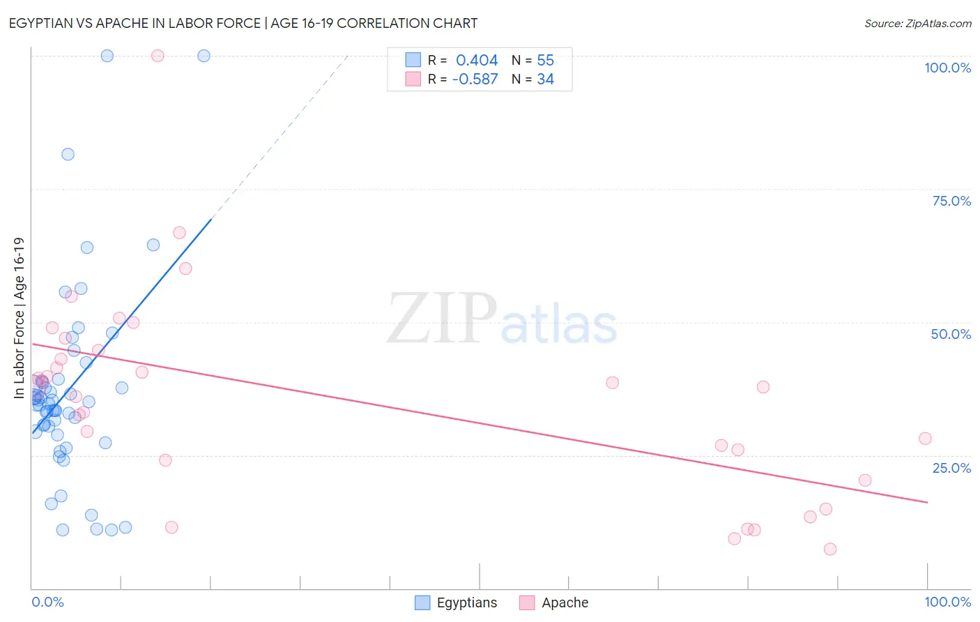 Egyptian vs Apache In Labor Force | Age 16-19