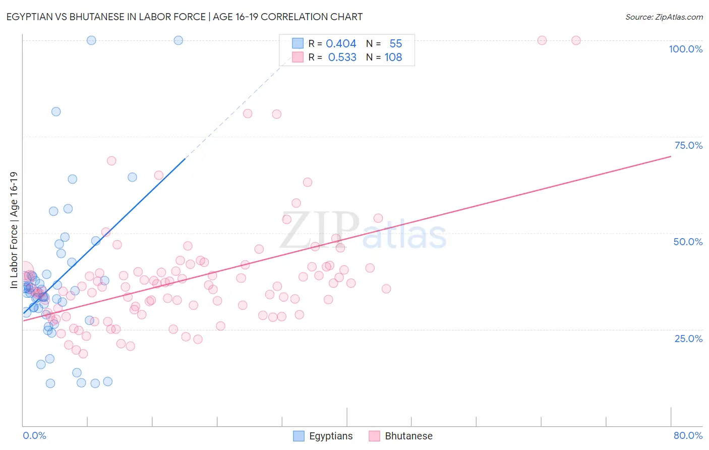 Egyptian vs Bhutanese In Labor Force | Age 16-19