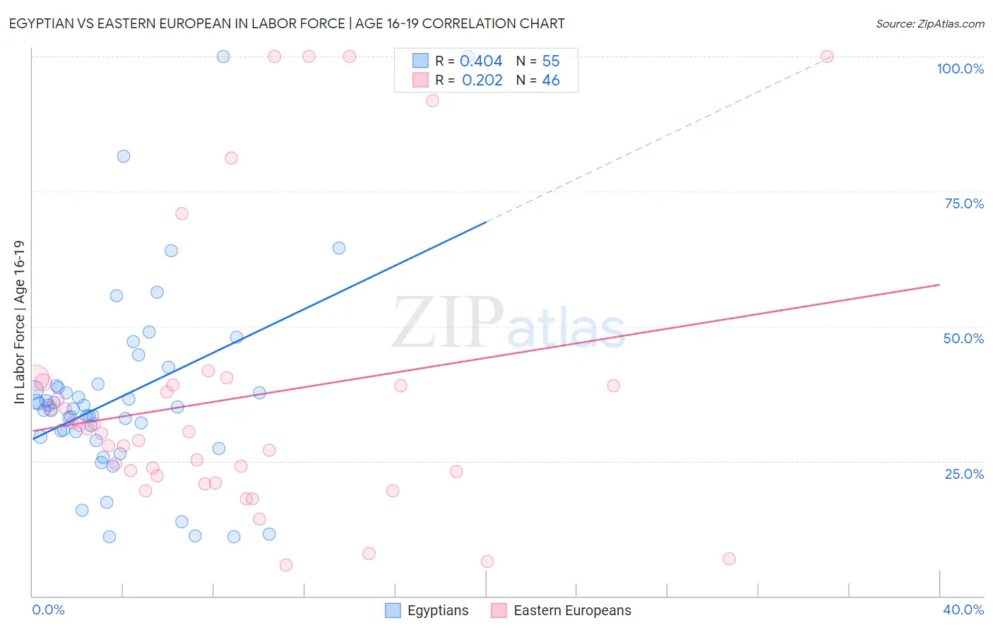 Egyptian vs Eastern European In Labor Force | Age 16-19