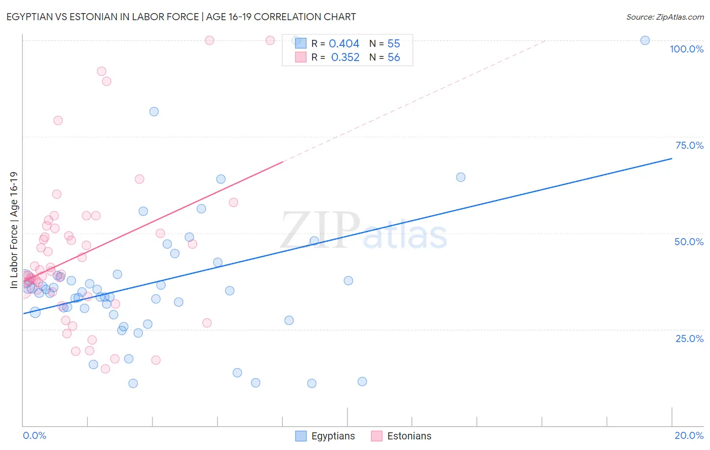 Egyptian vs Estonian In Labor Force | Age 16-19