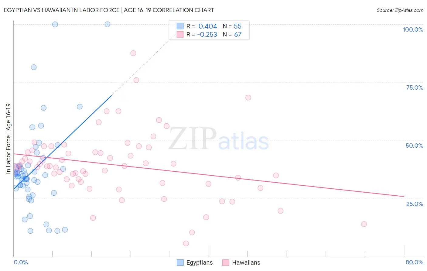 Egyptian vs Hawaiian In Labor Force | Age 16-19