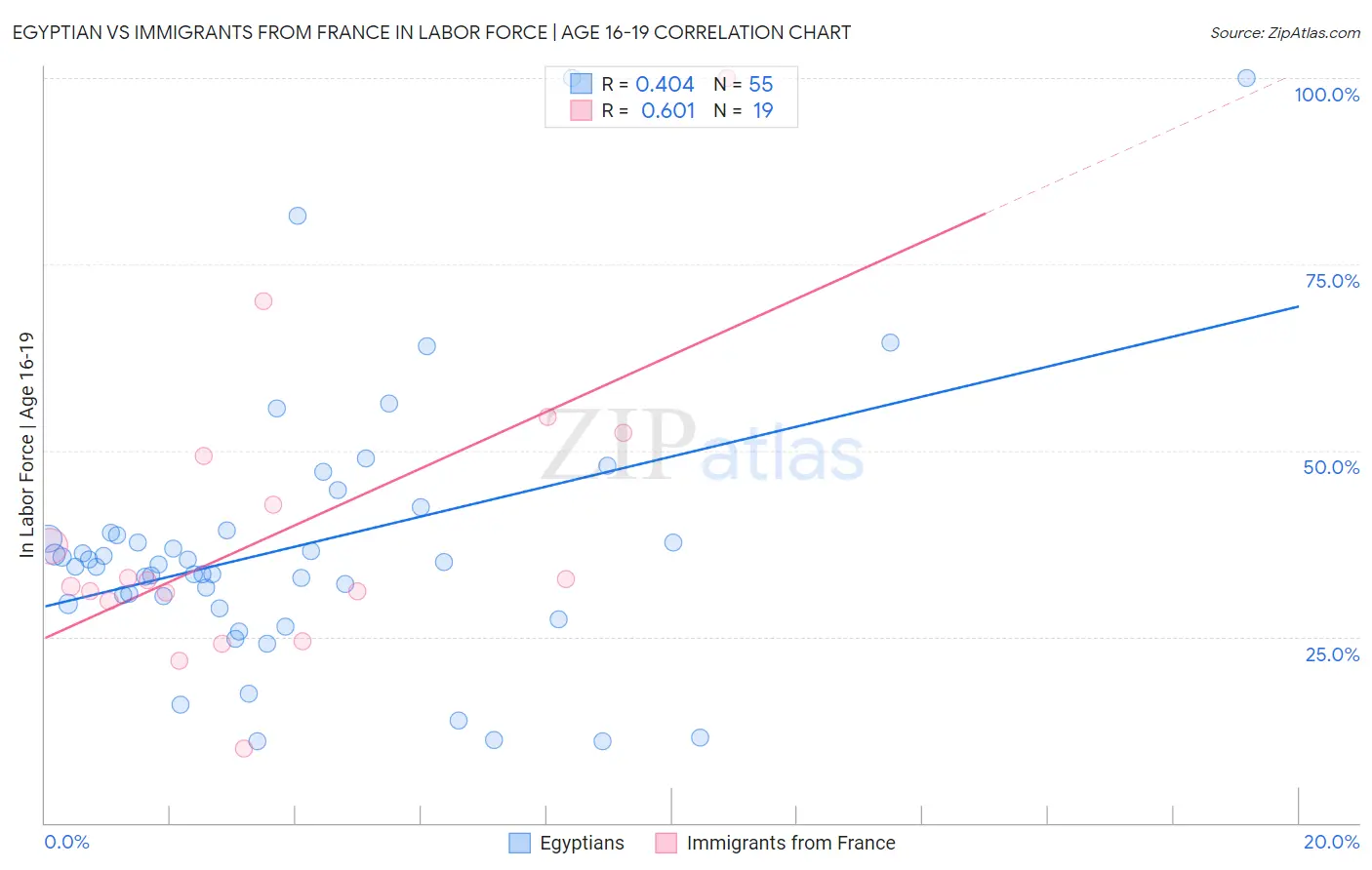 Egyptian vs Immigrants from France In Labor Force | Age 16-19