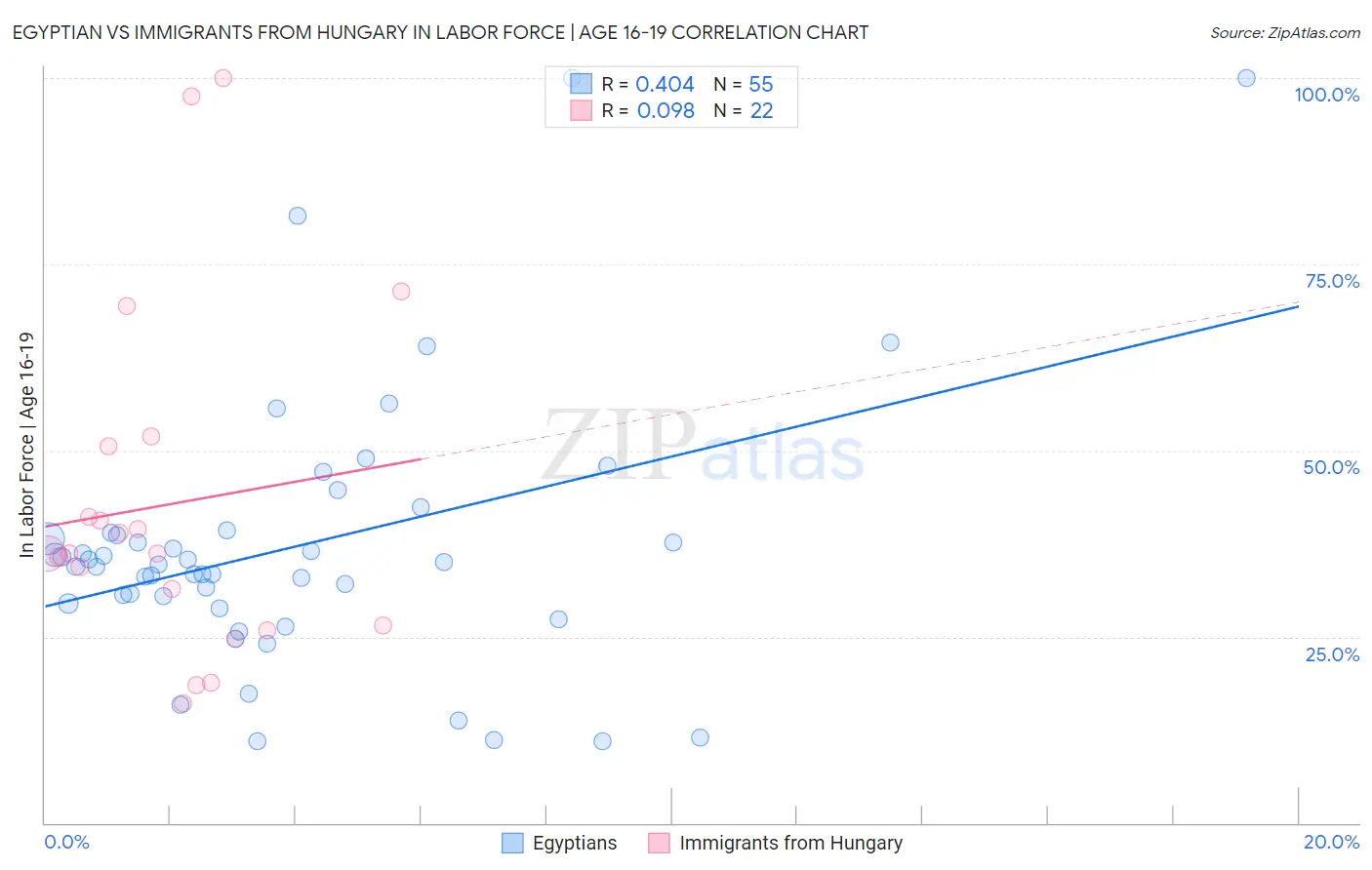 Egyptian vs Immigrants from Hungary In Labor Force | Age 16-19