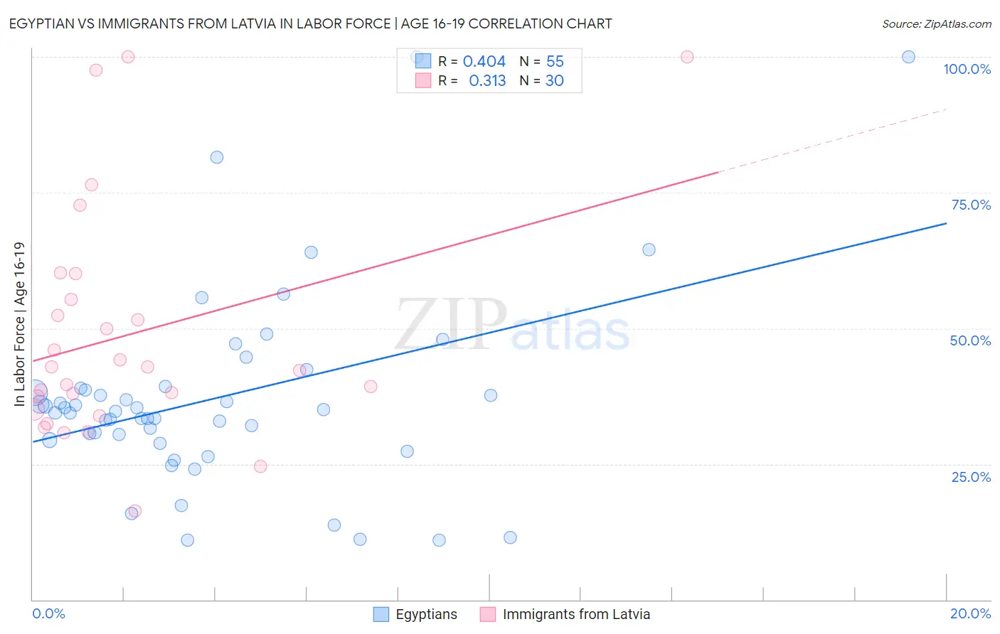 Egyptian vs Immigrants from Latvia In Labor Force | Age 16-19