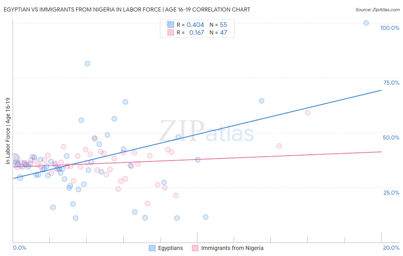 Egyptian vs Immigrants from Nigeria In Labor Force | Age 16-19