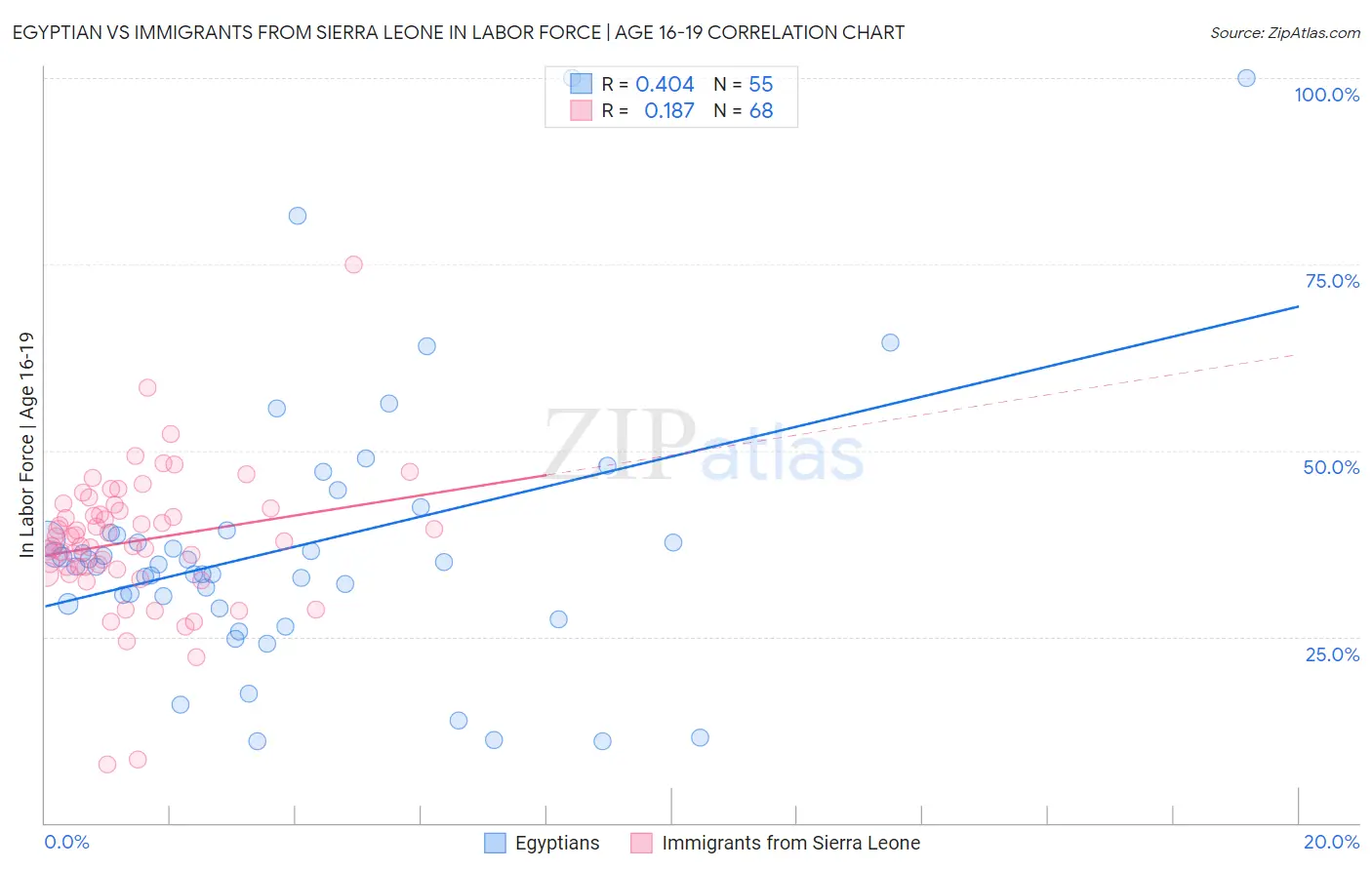 Egyptian vs Immigrants from Sierra Leone In Labor Force | Age 16-19